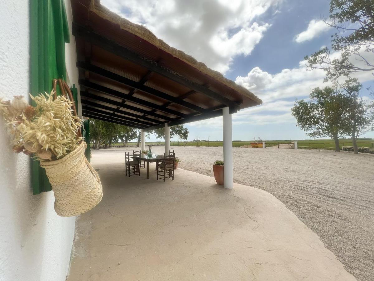 Masia Blanca Deltebre Extérieur photo